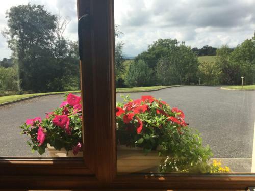 The Crossroads B&B