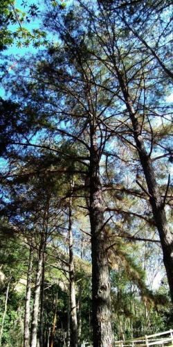Nosso S�tio - Rancho Santa Clara Itaipava