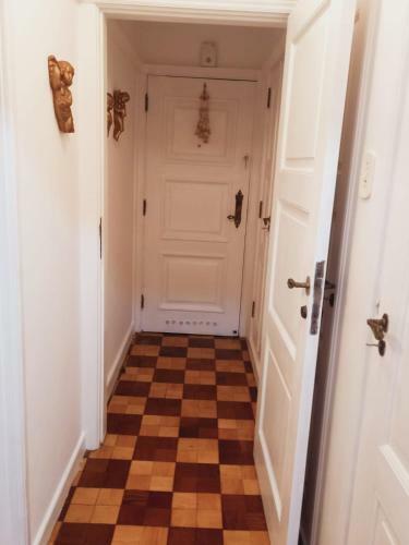Apartamento Pal�cio Quitandinha Lindo E Aconchegante Loft