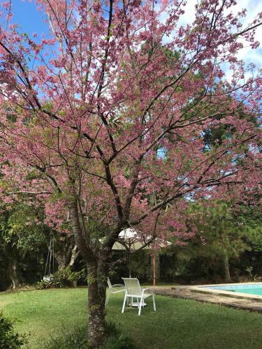 Hostal Pinheiros Do Rocio