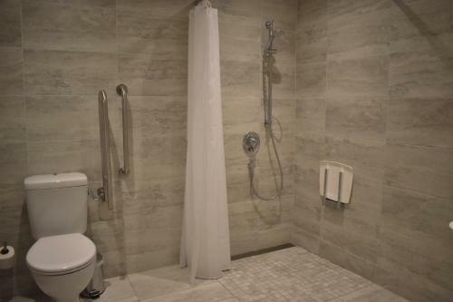 Hostal The Birches Killarney