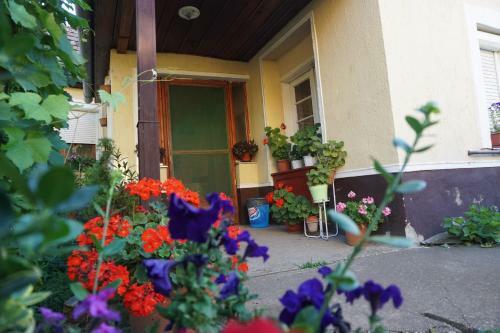 Hostal Piri Vend�gh�z