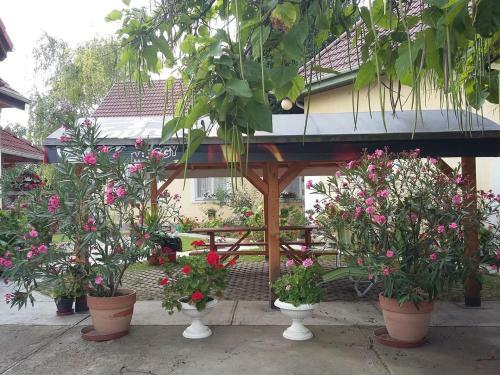 Bed & Breakfast Harang Panzi�