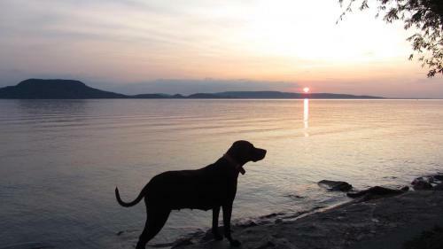 Apartamento Balaton Holiday
