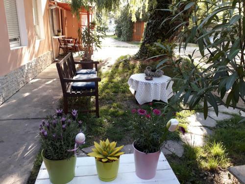 Hostal City Camping& Apartman &bungalow