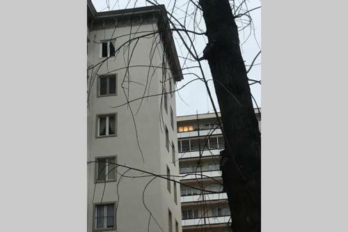 Hygge Apartman