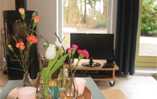 Holiday Home Oudemirdum