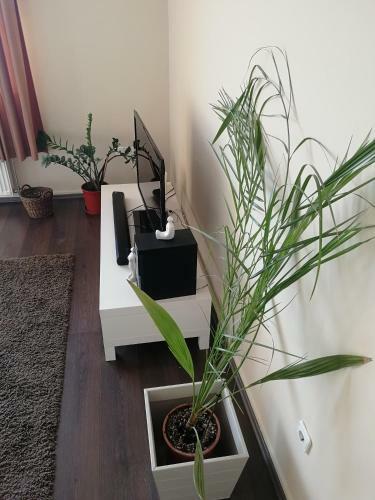 Parkside Apartman