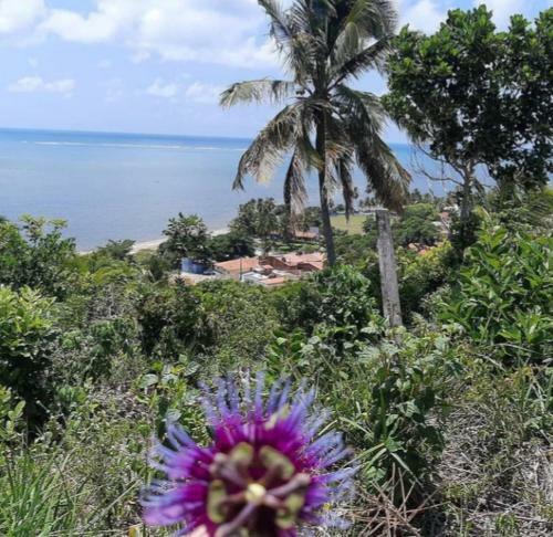 Casa Charme Do Patacho, Rec�m Constru�da, Perto Da Praia!