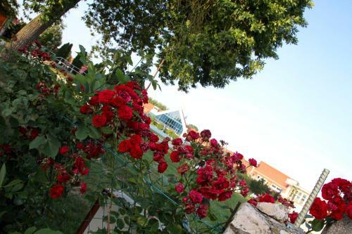 Bed & Breakfast Road House Holiday Resort