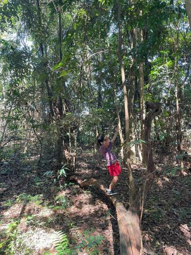 Posada Pousada Carmel Garden