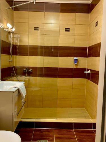 Hostal Borosty�n Panzi�