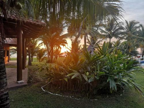 Residencial Aurora