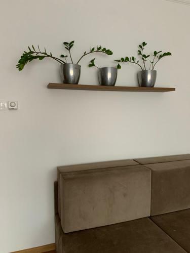 Thermal Next II Weninger Apartman Kiskunhalas