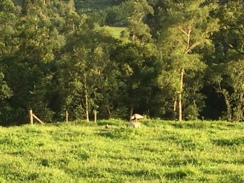 Ref�gio Da Natureza