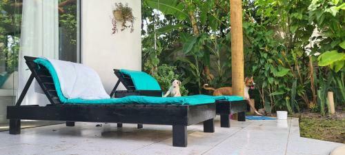 Villa Vila Nirvana Pipa