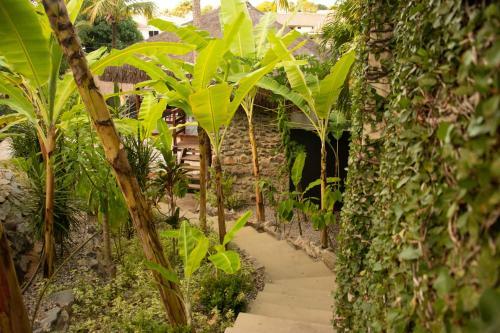 Hostel La Isla