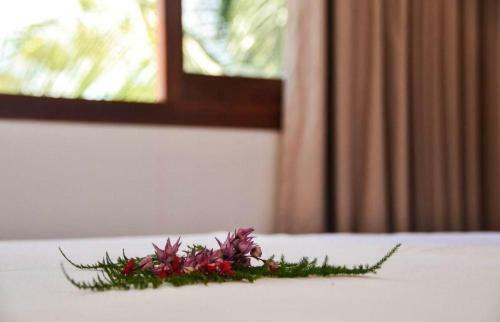 Hostal Vila Da Pipa Su�tes