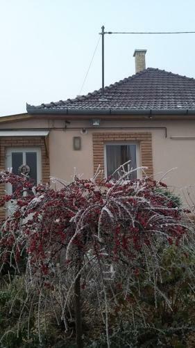 �denkert Apartmanh�z