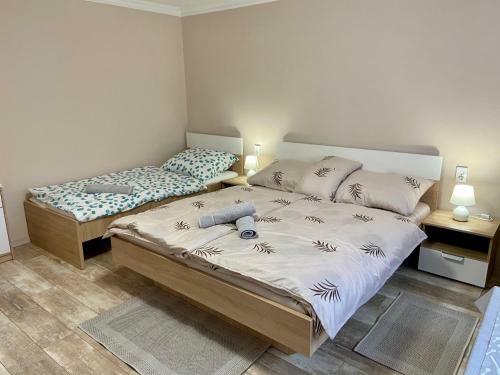 Hostal Vincze Vend�gh�z