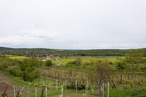 Hostal Sasf�szek Pihen?