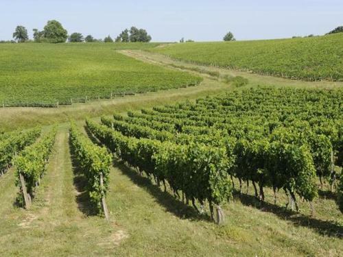 Bed & Breakfast Chateau La France