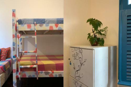 Zili Pernambuco - Hostel Pousada