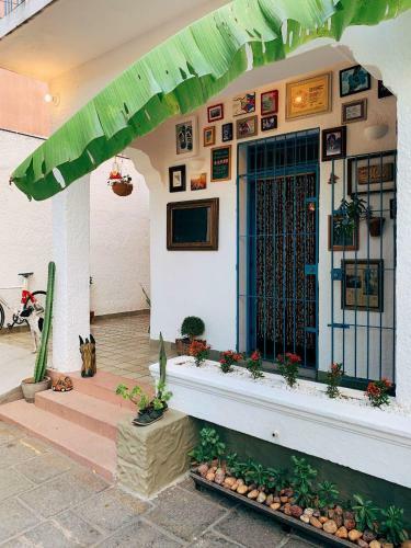 Zili Pernambuco - Hostel Pousada