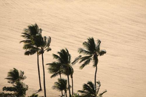 Apartamento Hy Beach Flats - Fernando Pessoa