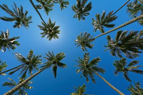 Apartamento Hy Beach Flats - Fernando Pessoa