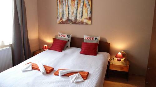 Spirit Of H�viz Apartment