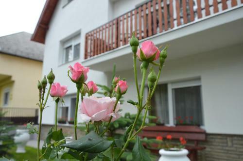 Varga Apartman H�v�z