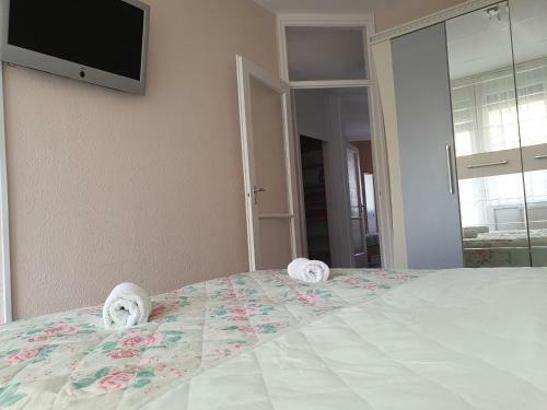 Flower Apartment