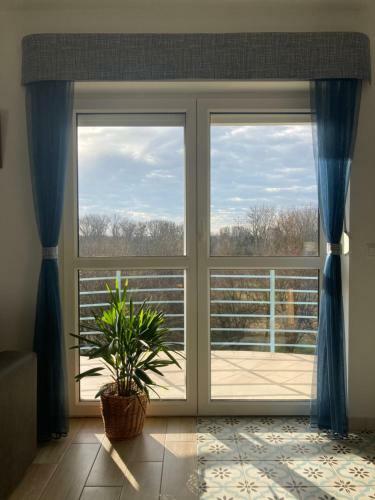 Libellula Apartman H�v�z