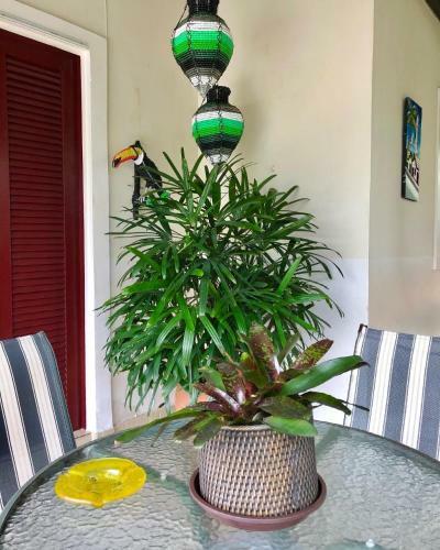 Casa Boutique Maraca Privativa Para 6 Pessoas Com Pets
