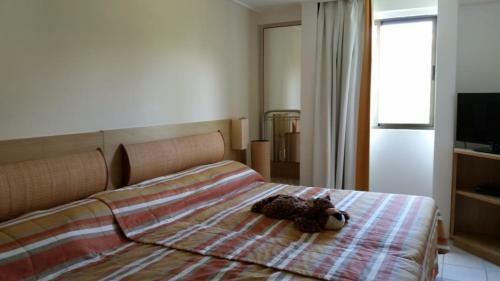 Hotel Flat Beach Class