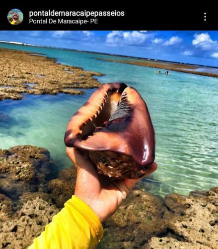 Luna Beach House
