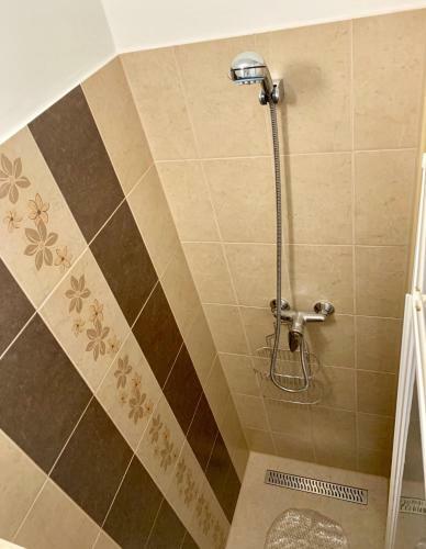 Anita Apartman