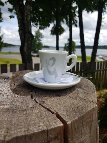 North Lake Villa Plateliai