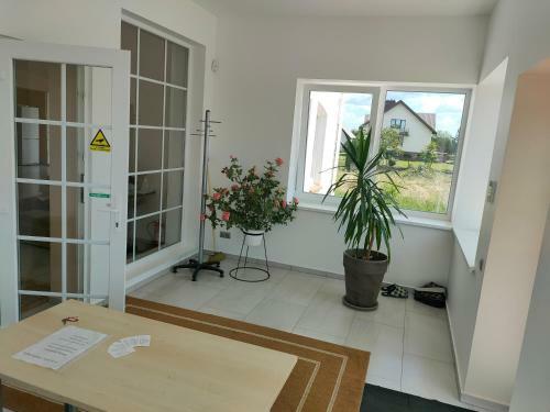 Albergue Babilonas