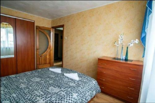 Rr Apartamentu Nuoma