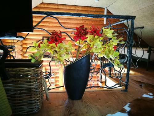 Hostal Sveciu Namelis