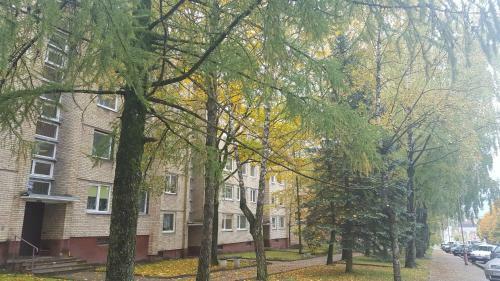 Apartamentai Vilniaus Street
