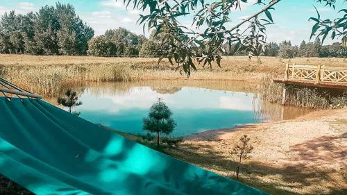 Po Nendri? Stogu