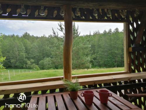 Bed & Breakfast Poilsio Kampelis Zarasuose