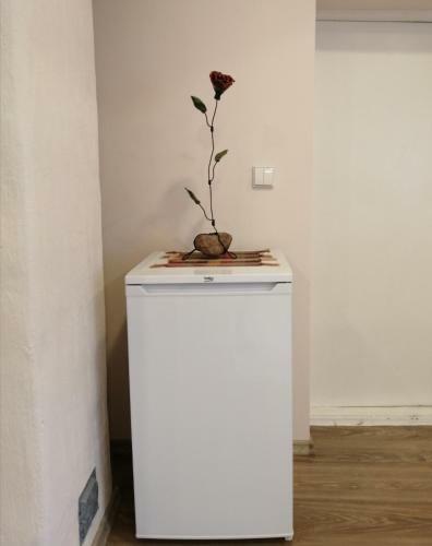 Bed & Breakfast Poilsio Kampelis Zarasuose