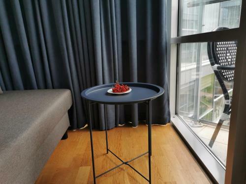 Apartamentai Elija Su Vaizdu ? J?r?
