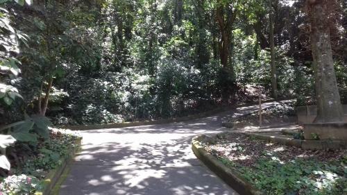 Apartamento Copacabana 607
