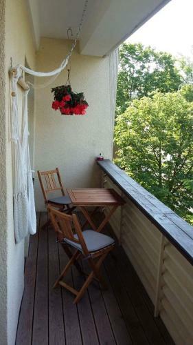 Kaktuss Apartamenti