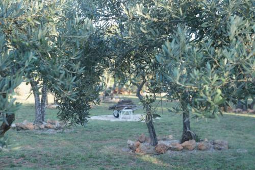 Hostal Guesthouse Le Mas De Cotignac